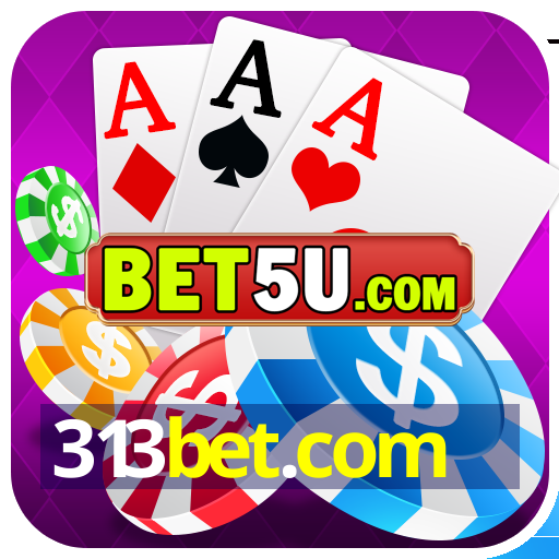 313bet.com