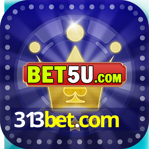 313bet.com