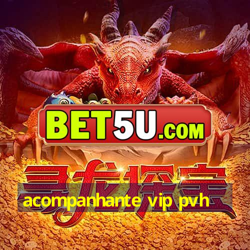 acompanhante vip pvh