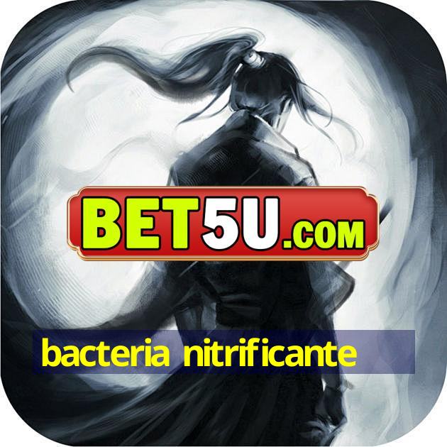 bacteria nitrificante