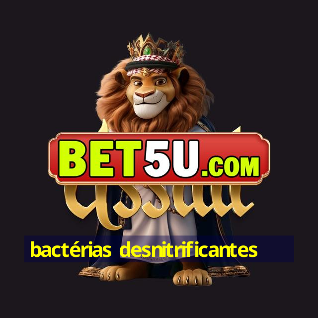 bactérias desnitrificantes