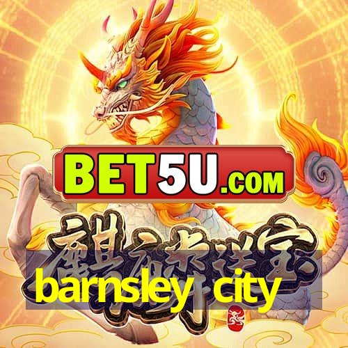 barnsley city