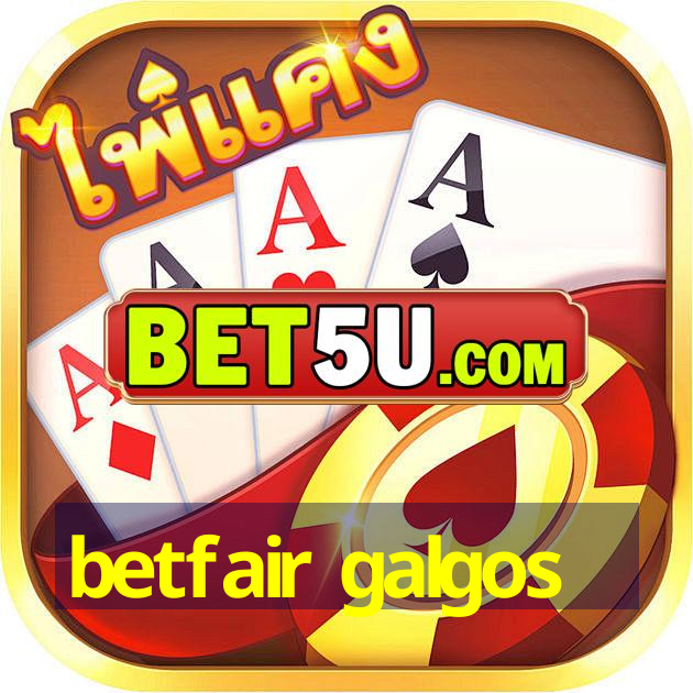 betfair galgos