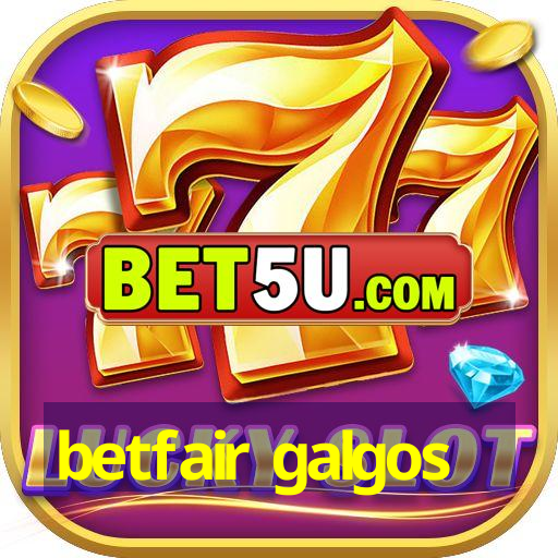 betfair galgos