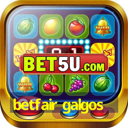 betfair galgos