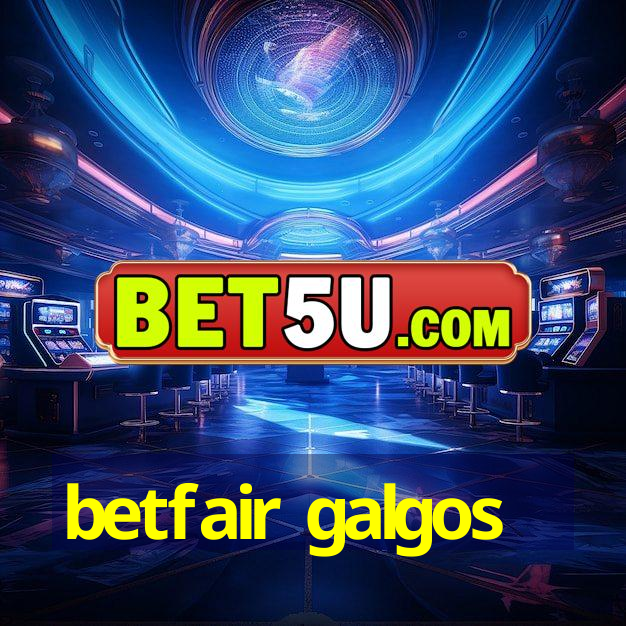 betfair galgos