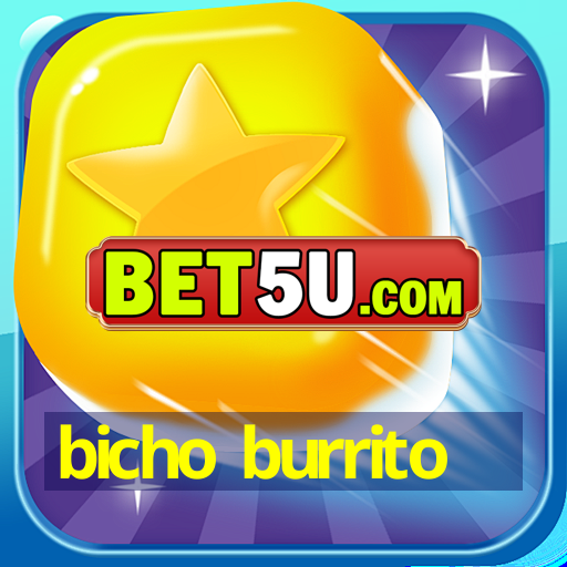 bicho burrito