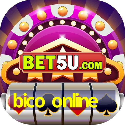 bico online