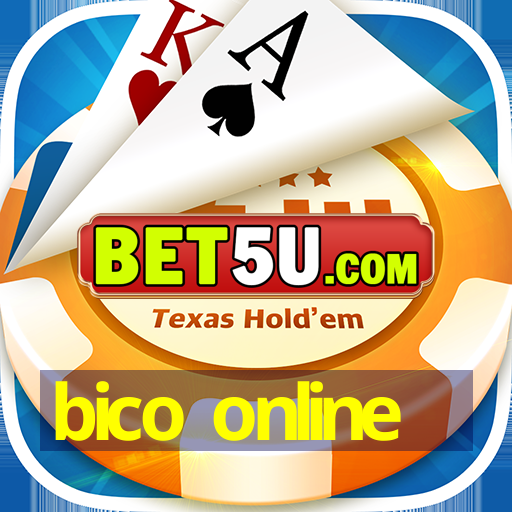 bico online