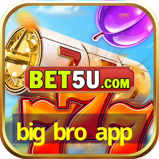 big bro app