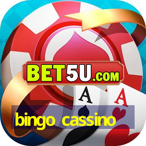 bingo cassino