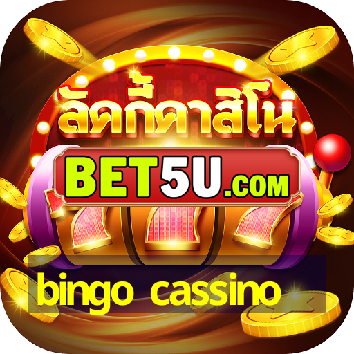 bingo cassino