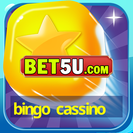 bingo cassino