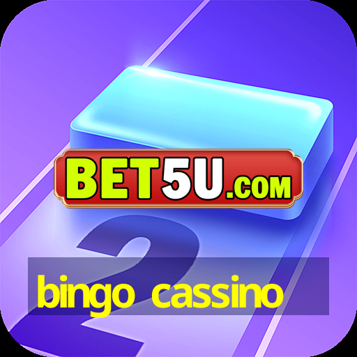 bingo cassino