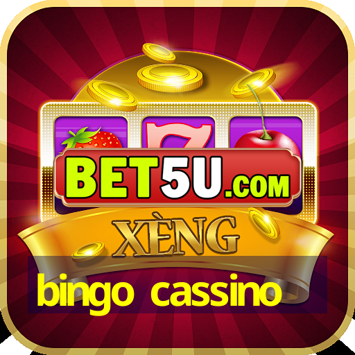 bingo cassino