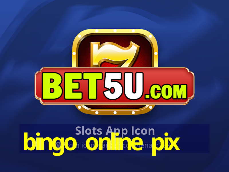 bingo online pix