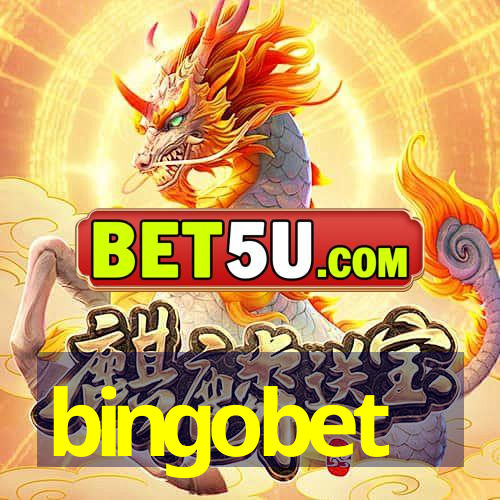 bingobet