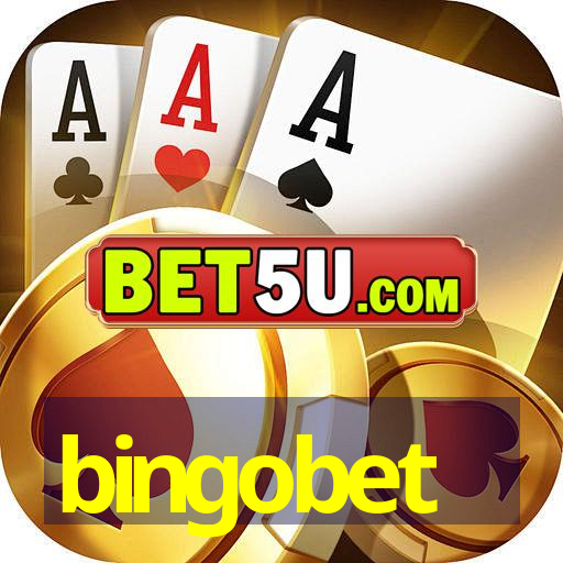 bingobet