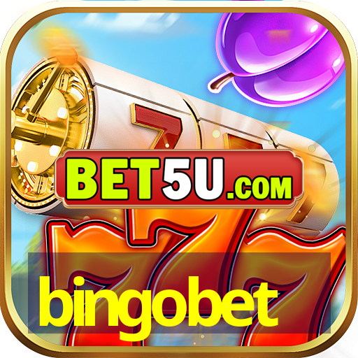 bingobet