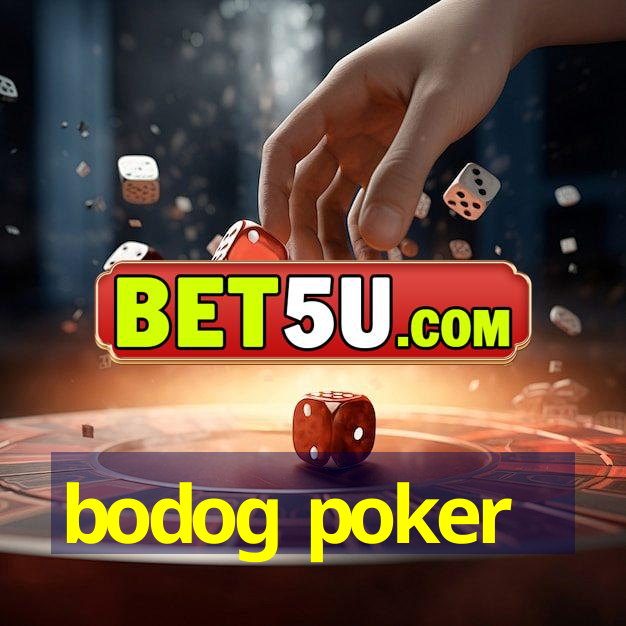 bodog poker