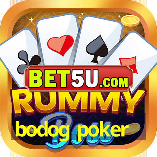 bodog poker