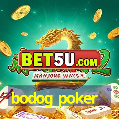 bodog poker