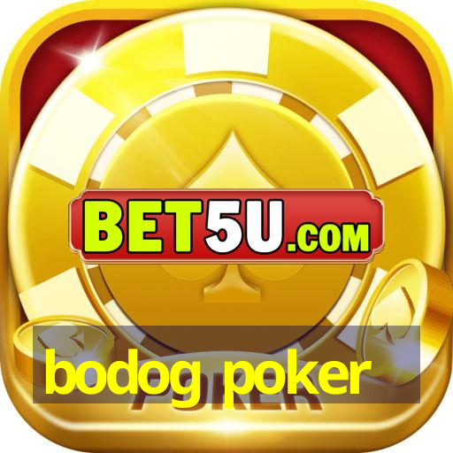 bodog poker