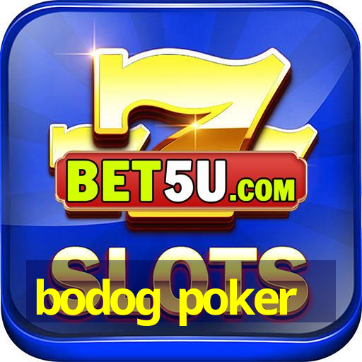 bodog poker