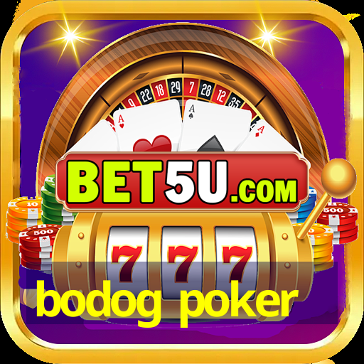 bodog poker