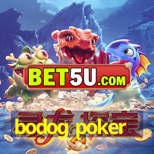 bodog poker