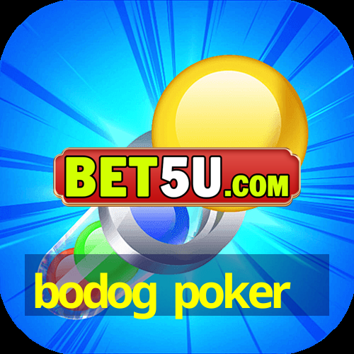 bodog poker