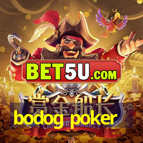 bodog poker