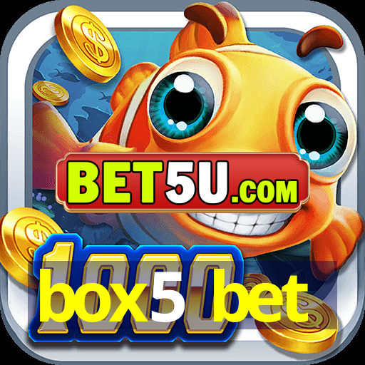 box5 bet