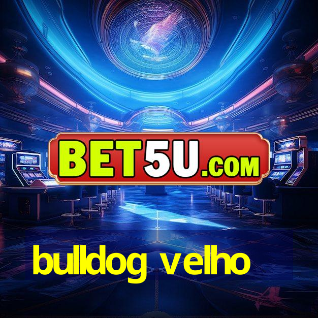 bulldog velho