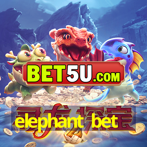 elephant bet