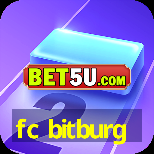 fc bitburg