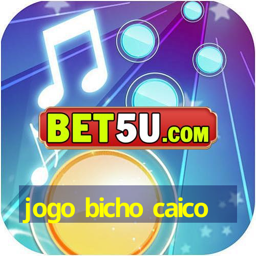 jogo bicho caico