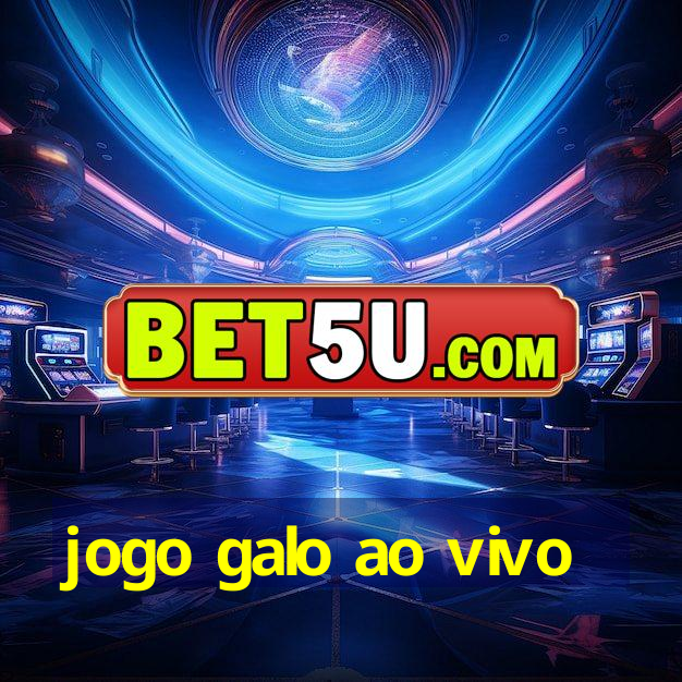 jogo galo ao vivo