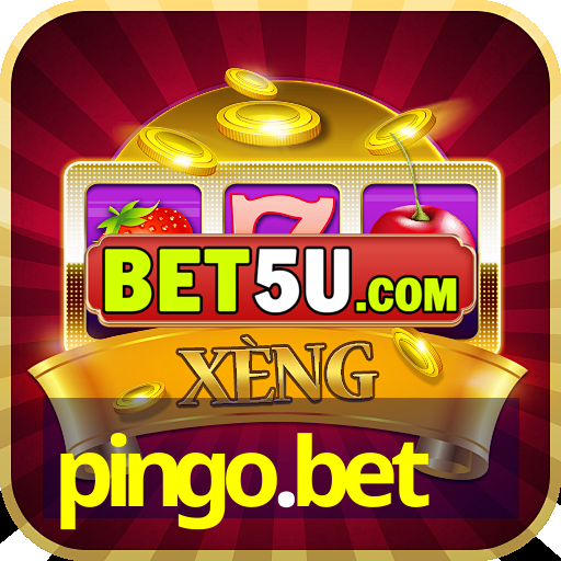 pingo.bet