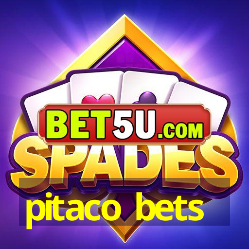 pitaco bets