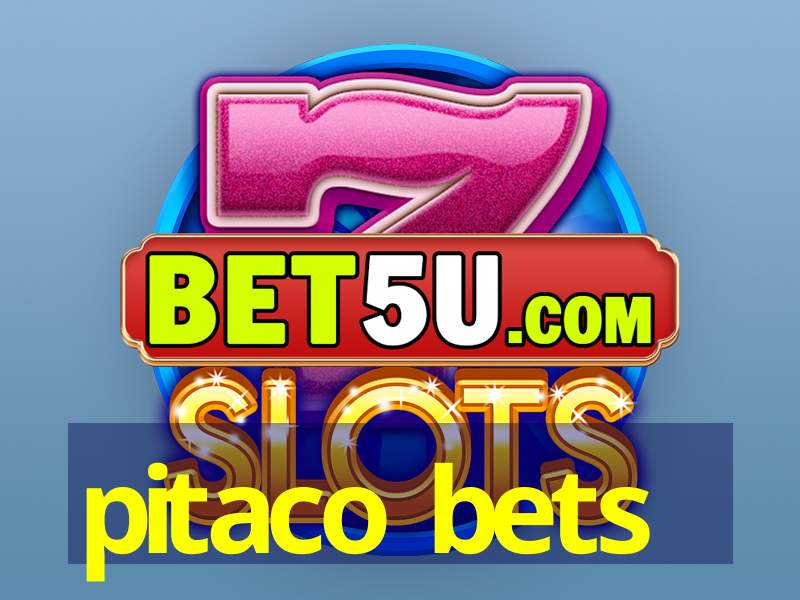 pitaco bets