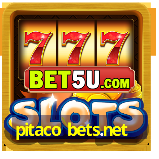 pitaco bets.net