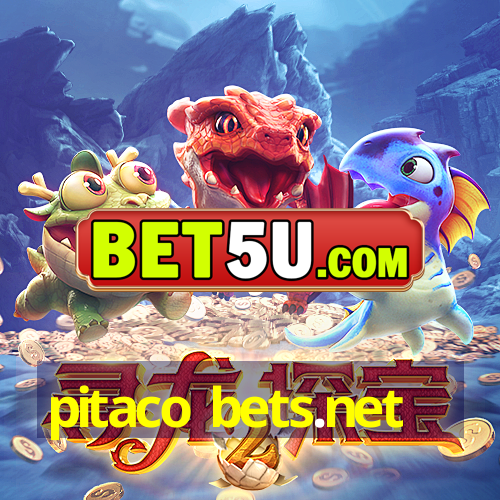 pitaco bets.net