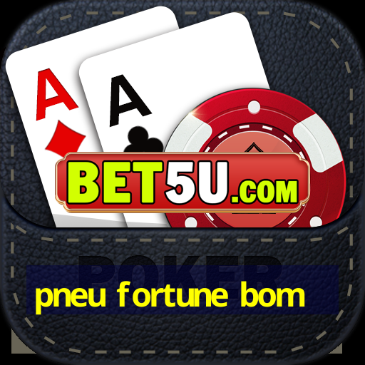 pneu fortune bom