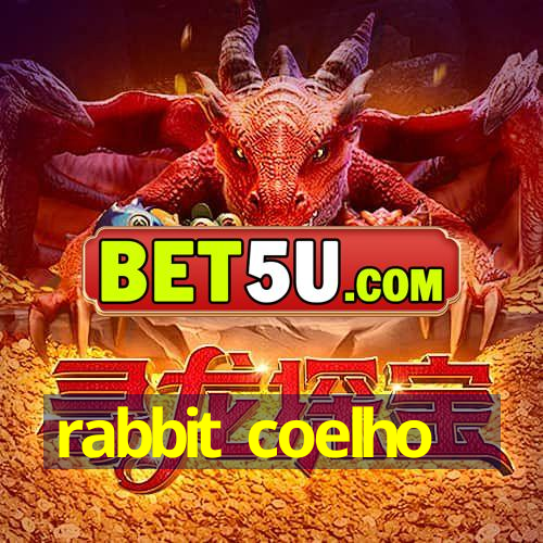 rabbit coelho