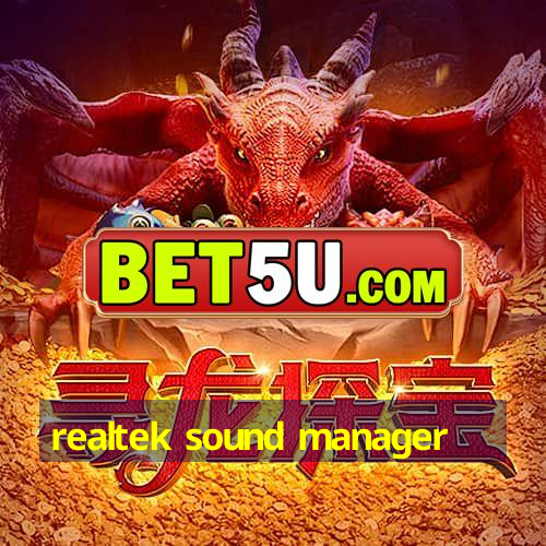 realtek sound manager