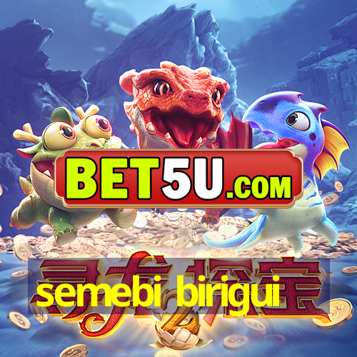 semebi birigui