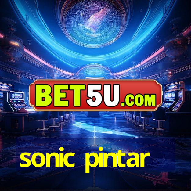 sonic pintar