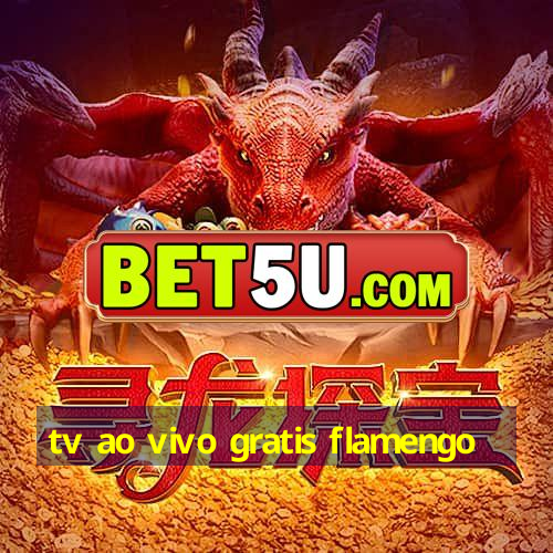 tv ao vivo gratis flamengo