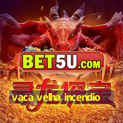 vaca velha incendio